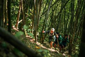 BIB: 
                            <button type="button" onclick="openModal(27922654)" class="btn btn-primary btn-sm float-right btn-popup" data-toggle="modal" data-target=".modal-high-quality">
                        <i class="fas fa-shopping-cart"></i> Add to Cart
                    </button>
                                            <button type="button" onclick="isThisMe(27922654, true)" class="btn btn-success btn-sm float-right btn-popup btn-isme hidden" data-toggle="tooltip" data-placement="bottom" title="นี่คือรูปของคุณใช่ไหม คลิกที่นี่เพื่อเอาเข้าอัลบั้ม">
                        <i class="fas fa-plus"></i> Add to album
                    </button>
                    <button type="button" onclick="isThisMe(27922654, false)" class="btn btn-warning btn-sm float-right btn-popup btn-isnotme hidden">
                        <i class="fas fa-ban"></i> Remove from album
                    </button>