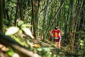 BIB: 
                            <button type="button" onclick="openModal(27924829)" class="btn btn-primary btn-sm float-right btn-popup" data-toggle="modal" data-target=".modal-high-quality">
                        <i class="fas fa-shopping-cart"></i> Add to Cart
                    </button>
                                            <button type="button" onclick="isThisMe(27924829, true)" class="btn btn-success btn-sm float-right btn-popup btn-isme hidden" data-toggle="tooltip" data-placement="bottom" title="นี่คือรูปของคุณใช่ไหม คลิกที่นี่เพื่อเอาเข้าอัลบั้ม">
                        <i class="fas fa-plus"></i> Add to album
                    </button>
                    <button type="button" onclick="isThisMe(27924829, false)" class="btn btn-warning btn-sm float-right btn-popup btn-isnotme hidden">
                        <i class="fas fa-ban"></i> Remove from album
                    </button>