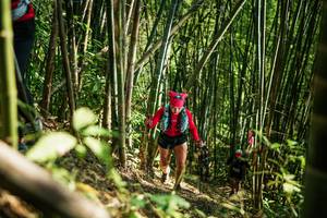 BIB: 
                            <button type="button" onclick="openModal(27925708)" class="btn btn-primary btn-sm float-right btn-popup" data-toggle="modal" data-target=".modal-high-quality">
                        <i class="fas fa-shopping-cart"></i> Add to Cart
                    </button>
                                            <button type="button" onclick="isThisMe(27925708, true)" class="btn btn-success btn-sm float-right btn-popup btn-isme hidden" data-toggle="tooltip" data-placement="bottom" title="นี่คือรูปของคุณใช่ไหม คลิกที่นี่เพื่อเอาเข้าอัลบั้ม">
                        <i class="fas fa-plus"></i> Add to album
                    </button>
                    <button type="button" onclick="isThisMe(27925708, false)" class="btn btn-warning btn-sm float-right btn-popup btn-isnotme hidden">
                        <i class="fas fa-ban"></i> Remove from album
                    </button>