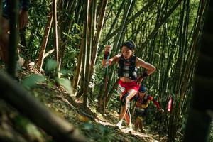 BIB: 
                            <button type="button" onclick="openModal(27922463)" class="btn btn-primary btn-sm float-right btn-popup" data-toggle="modal" data-target=".modal-high-quality">
                        <i class="fas fa-shopping-cart"></i> Add to Cart
                    </button>
                                            <button type="button" onclick="isThisMe(27922463, true)" class="btn btn-success btn-sm float-right btn-popup btn-isme hidden" data-toggle="tooltip" data-placement="bottom" title="นี่คือรูปของคุณใช่ไหม คลิกที่นี่เพื่อเอาเข้าอัลบั้ม">
                        <i class="fas fa-plus"></i> Add to album
                    </button>
                    <button type="button" onclick="isThisMe(27922463, false)" class="btn btn-warning btn-sm float-right btn-popup btn-isnotme hidden">
                        <i class="fas fa-ban"></i> Remove from album
                    </button>