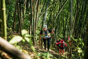 BIB: 
                            <button type="button" onclick="openModal(27925694)" class="btn btn-primary btn-sm float-right btn-popup" data-toggle="modal" data-target=".modal-high-quality">
                        <i class="fas fa-shopping-cart"></i> Add to Cart
                    </button>
                                            <button type="button" onclick="isThisMe(27925694, true)" class="btn btn-success btn-sm float-right btn-popup btn-isme hidden" data-toggle="tooltip" data-placement="bottom" title="นี่คือรูปของคุณใช่ไหม คลิกที่นี่เพื่อเอาเข้าอัลบั้ม">
                        <i class="fas fa-plus"></i> Add to album
                    </button>
                    <button type="button" onclick="isThisMe(27925694, false)" class="btn btn-warning btn-sm float-right btn-popup btn-isnotme hidden">
                        <i class="fas fa-ban"></i> Remove from album
                    </button>