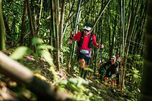 BIB: 
                            <button type="button" onclick="openModal(27925392)" class="btn btn-primary btn-sm float-right btn-popup" data-toggle="modal" data-target=".modal-high-quality">
                        <i class="fas fa-shopping-cart"></i> Add to Cart
                    </button>
                                            <button type="button" onclick="isThisMe(27925392, true)" class="btn btn-success btn-sm float-right btn-popup btn-isme hidden" data-toggle="tooltip" data-placement="bottom" title="นี่คือรูปของคุณใช่ไหม คลิกที่นี่เพื่อเอาเข้าอัลบั้ม">
                        <i class="fas fa-plus"></i> Add to album
                    </button>
                    <button type="button" onclick="isThisMe(27925392, false)" class="btn btn-warning btn-sm float-right btn-popup btn-isnotme hidden">
                        <i class="fas fa-ban"></i> Remove from album
                    </button>