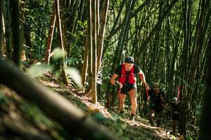 BIB: 
                            <button type="button" onclick="openModal(27922271)" class="btn btn-primary btn-sm float-right btn-popup" data-toggle="modal" data-target=".modal-high-quality">
                        <i class="fas fa-shopping-cart"></i> Add to Cart
                    </button>
                                            <button type="button" onclick="isThisMe(27922271, true)" class="btn btn-success btn-sm float-right btn-popup btn-isme hidden" data-toggle="tooltip" data-placement="bottom" title="นี่คือรูปของคุณใช่ไหม คลิกที่นี่เพื่อเอาเข้าอัลบั้ม">
                        <i class="fas fa-plus"></i> Add to album
                    </button>
                    <button type="button" onclick="isThisMe(27922271, false)" class="btn btn-warning btn-sm float-right btn-popup btn-isnotme hidden">
                        <i class="fas fa-ban"></i> Remove from album
                    </button>