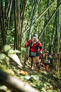 BIB: 
                            <button type="button" onclick="openModal(27925120)" class="btn btn-primary btn-sm float-right btn-popup" data-toggle="modal" data-target=".modal-high-quality">
                        <i class="fas fa-shopping-cart"></i> Add to Cart
                    </button>
                                            <button type="button" onclick="isThisMe(27925120, true)" class="btn btn-success btn-sm float-right btn-popup btn-isme hidden" data-toggle="tooltip" data-placement="bottom" title="นี่คือรูปของคุณใช่ไหม คลิกที่นี่เพื่อเอาเข้าอัลบั้ม">
                        <i class="fas fa-plus"></i> Add to album
                    </button>
                    <button type="button" onclick="isThisMe(27925120, false)" class="btn btn-warning btn-sm float-right btn-popup btn-isnotme hidden">
                        <i class="fas fa-ban"></i> Remove from album
                    </button>