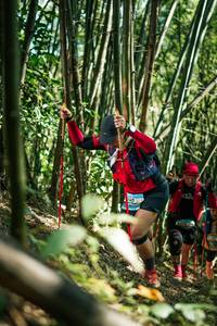 BIB: 
                            <button type="button" onclick="openModal(27925128)" class="btn btn-primary btn-sm float-right btn-popup" data-toggle="modal" data-target=".modal-high-quality">
                        <i class="fas fa-shopping-cart"></i> Add to Cart
                    </button>
                                            <button type="button" onclick="isThisMe(27925128, true)" class="btn btn-success btn-sm float-right btn-popup btn-isme hidden" data-toggle="tooltip" data-placement="bottom" title="นี่คือรูปของคุณใช่ไหม คลิกที่นี่เพื่อเอาเข้าอัลบั้ม">
                        <i class="fas fa-plus"></i> Add to album
                    </button>
                    <button type="button" onclick="isThisMe(27925128, false)" class="btn btn-warning btn-sm float-right btn-popup btn-isnotme hidden">
                        <i class="fas fa-ban"></i> Remove from album
                    </button>