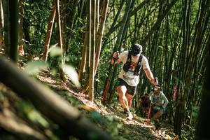 BIB: 
                            <button type="button" onclick="openModal(27922235)" class="btn btn-primary btn-sm float-right btn-popup" data-toggle="modal" data-target=".modal-high-quality">
                        <i class="fas fa-shopping-cart"></i> Add to Cart
                    </button>
                                            <button type="button" onclick="isThisMe(27922235, true)" class="btn btn-success btn-sm float-right btn-popup btn-isme hidden" data-toggle="tooltip" data-placement="bottom" title="นี่คือรูปของคุณใช่ไหม คลิกที่นี่เพื่อเอาเข้าอัลบั้ม">
                        <i class="fas fa-plus"></i> Add to album
                    </button>
                    <button type="button" onclick="isThisMe(27922235, false)" class="btn btn-warning btn-sm float-right btn-popup btn-isnotme hidden">
                        <i class="fas fa-ban"></i> Remove from album
                    </button>