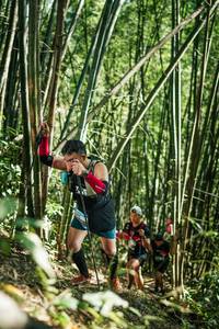 BIB: 
                            <button type="button" onclick="openModal(27925550)" class="btn btn-primary btn-sm float-right btn-popup" data-toggle="modal" data-target=".modal-high-quality">
                        <i class="fas fa-shopping-cart"></i> Add to Cart
                    </button>
                                            <button type="button" onclick="isThisMe(27925550, true)" class="btn btn-success btn-sm float-right btn-popup btn-isme hidden" data-toggle="tooltip" data-placement="bottom" title="นี่คือรูปของคุณใช่ไหม คลิกที่นี่เพื่อเอาเข้าอัลบั้ม">
                        <i class="fas fa-plus"></i> Add to album
                    </button>
                    <button type="button" onclick="isThisMe(27925550, false)" class="btn btn-warning btn-sm float-right btn-popup btn-isnotme hidden">
                        <i class="fas fa-ban"></i> Remove from album
                    </button>