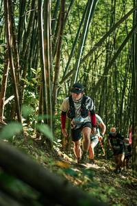 BIB: 
                            <button type="button" onclick="openModal(27923061)" class="btn btn-primary btn-sm float-right btn-popup" data-toggle="modal" data-target=".modal-high-quality">
                        <i class="fas fa-shopping-cart"></i> Add to Cart
                    </button>
                                            <button type="button" onclick="isThisMe(27923061, true)" class="btn btn-success btn-sm float-right btn-popup btn-isme hidden" data-toggle="tooltip" data-placement="bottom" title="นี่คือรูปของคุณใช่ไหม คลิกที่นี่เพื่อเอาเข้าอัลบั้ม">
                        <i class="fas fa-plus"></i> Add to album
                    </button>
                    <button type="button" onclick="isThisMe(27923061, false)" class="btn btn-warning btn-sm float-right btn-popup btn-isnotme hidden">
                        <i class="fas fa-ban"></i> Remove from album
                    </button>