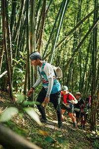 BIB: 
                            <button type="button" onclick="openModal(27923410)" class="btn btn-primary btn-sm float-right btn-popup" data-toggle="modal" data-target=".modal-high-quality">
                        <i class="fas fa-shopping-cart"></i> Add to Cart
                    </button>
                                            <button type="button" onclick="isThisMe(27923410, true)" class="btn btn-success btn-sm float-right btn-popup btn-isme hidden" data-toggle="tooltip" data-placement="bottom" title="นี่คือรูปของคุณใช่ไหม คลิกที่นี่เพื่อเอาเข้าอัลบั้ม">
                        <i class="fas fa-plus"></i> Add to album
                    </button>
                    <button type="button" onclick="isThisMe(27923410, false)" class="btn btn-warning btn-sm float-right btn-popup btn-isnotme hidden">
                        <i class="fas fa-ban"></i> Remove from album
                    </button>