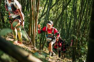 BIB: 
                            <button type="button" onclick="openModal(27921737)" class="btn btn-primary btn-sm float-right btn-popup" data-toggle="modal" data-target=".modal-high-quality">
                        <i class="fas fa-shopping-cart"></i> Add to Cart
                    </button>
                                            <button type="button" onclick="isThisMe(27921737, true)" class="btn btn-success btn-sm float-right btn-popup btn-isme hidden" data-toggle="tooltip" data-placement="bottom" title="นี่คือรูปของคุณใช่ไหม คลิกที่นี่เพื่อเอาเข้าอัลบั้ม">
                        <i class="fas fa-plus"></i> Add to album
                    </button>
                    <button type="button" onclick="isThisMe(27921737, false)" class="btn btn-warning btn-sm float-right btn-popup btn-isnotme hidden">
                        <i class="fas fa-ban"></i> Remove from album
                    </button>