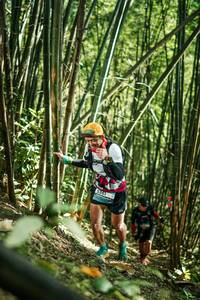 BIB: 
                            <button type="button" onclick="openModal(27923931)" class="btn btn-primary btn-sm float-right btn-popup" data-toggle="modal" data-target=".modal-high-quality">
                        <i class="fas fa-shopping-cart"></i> Add to Cart
                    </button>
                                            <button type="button" onclick="isThisMe(27923931, true)" class="btn btn-success btn-sm float-right btn-popup btn-isme hidden" data-toggle="tooltip" data-placement="bottom" title="นี่คือรูปของคุณใช่ไหม คลิกที่นี่เพื่อเอาเข้าอัลบั้ม">
                        <i class="fas fa-plus"></i> Add to album
                    </button>
                    <button type="button" onclick="isThisMe(27923931, false)" class="btn btn-warning btn-sm float-right btn-popup btn-isnotme hidden">
                        <i class="fas fa-ban"></i> Remove from album
                    </button>