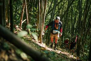 BIB: 
                            <button type="button" onclick="openModal(27922399)" class="btn btn-primary btn-sm float-right btn-popup" data-toggle="modal" data-target=".modal-high-quality">
                        <i class="fas fa-shopping-cart"></i> Add to Cart
                    </button>
                                            <button type="button" onclick="isThisMe(27922399, true)" class="btn btn-success btn-sm float-right btn-popup btn-isme hidden" data-toggle="tooltip" data-placement="bottom" title="นี่คือรูปของคุณใช่ไหม คลิกที่นี่เพื่อเอาเข้าอัลบั้ม">
                        <i class="fas fa-plus"></i> Add to album
                    </button>
                    <button type="button" onclick="isThisMe(27922399, false)" class="btn btn-warning btn-sm float-right btn-popup btn-isnotme hidden">
                        <i class="fas fa-ban"></i> Remove from album
                    </button>