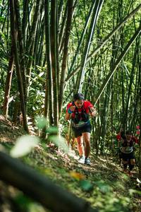 BIB: 
                            <button type="button" onclick="openModal(27924296)" class="btn btn-primary btn-sm float-right btn-popup" data-toggle="modal" data-target=".modal-high-quality">
                        <i class="fas fa-shopping-cart"></i> Add to Cart
                    </button>
                                            <button type="button" onclick="isThisMe(27924296, true)" class="btn btn-success btn-sm float-right btn-popup btn-isme hidden" data-toggle="tooltip" data-placement="bottom" title="นี่คือรูปของคุณใช่ไหม คลิกที่นี่เพื่อเอาเข้าอัลบั้ม">
                        <i class="fas fa-plus"></i> Add to album
                    </button>
                    <button type="button" onclick="isThisMe(27924296, false)" class="btn btn-warning btn-sm float-right btn-popup btn-isnotme hidden">
                        <i class="fas fa-ban"></i> Remove from album
                    </button>