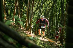 BIB: 
                            <button type="button" onclick="openModal(27922582)" class="btn btn-primary btn-sm float-right btn-popup" data-toggle="modal" data-target=".modal-high-quality">
                        <i class="fas fa-shopping-cart"></i> Add to Cart
                    </button>
                                            <button type="button" onclick="isThisMe(27922582, true)" class="btn btn-success btn-sm float-right btn-popup btn-isme hidden" data-toggle="tooltip" data-placement="bottom" title="นี่คือรูปของคุณใช่ไหม คลิกที่นี่เพื่อเอาเข้าอัลบั้ม">
                        <i class="fas fa-plus"></i> Add to album
                    </button>
                    <button type="button" onclick="isThisMe(27922582, false)" class="btn btn-warning btn-sm float-right btn-popup btn-isnotme hidden">
                        <i class="fas fa-ban"></i> Remove from album
                    </button>