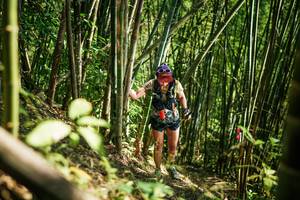 BIB: 
                            <button type="button" onclick="openModal(27925803)" class="btn btn-primary btn-sm float-right btn-popup" data-toggle="modal" data-target=".modal-high-quality">
                        <i class="fas fa-shopping-cart"></i> Add to Cart
                    </button>
                                            <button type="button" onclick="isThisMe(27925803, true)" class="btn btn-success btn-sm float-right btn-popup btn-isme hidden" data-toggle="tooltip" data-placement="bottom" title="นี่คือรูปของคุณใช่ไหม คลิกที่นี่เพื่อเอาเข้าอัลบั้ม">
                        <i class="fas fa-plus"></i> Add to album
                    </button>
                    <button type="button" onclick="isThisMe(27925803, false)" class="btn btn-warning btn-sm float-right btn-popup btn-isnotme hidden">
                        <i class="fas fa-ban"></i> Remove from album
                    </button>