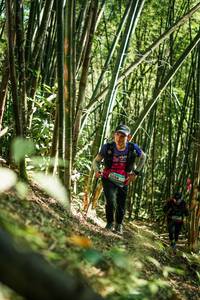 BIB: 
                            <button type="button" onclick="openModal(27924408)" class="btn btn-primary btn-sm float-right btn-popup" data-toggle="modal" data-target=".modal-high-quality">
                        <i class="fas fa-shopping-cart"></i> Add to Cart
                    </button>
                                            <button type="button" onclick="isThisMe(27924408, true)" class="btn btn-success btn-sm float-right btn-popup btn-isme hidden" data-toggle="tooltip" data-placement="bottom" title="นี่คือรูปของคุณใช่ไหม คลิกที่นี่เพื่อเอาเข้าอัลบั้ม">
                        <i class="fas fa-plus"></i> Add to album
                    </button>
                    <button type="button" onclick="isThisMe(27924408, false)" class="btn btn-warning btn-sm float-right btn-popup btn-isnotme hidden">
                        <i class="fas fa-ban"></i> Remove from album
                    </button>