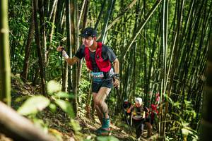 BIB: 
                            <button type="button" onclick="openModal(27925686)" class="btn btn-primary btn-sm float-right btn-popup" data-toggle="modal" data-target=".modal-high-quality">
                        <i class="fas fa-shopping-cart"></i> Add to Cart
                    </button>
                                            <button type="button" onclick="isThisMe(27925686, true)" class="btn btn-success btn-sm float-right btn-popup btn-isme hidden" data-toggle="tooltip" data-placement="bottom" title="นี่คือรูปของคุณใช่ไหม คลิกที่นี่เพื่อเอาเข้าอัลบั้ม">
                        <i class="fas fa-plus"></i> Add to album
                    </button>
                    <button type="button" onclick="isThisMe(27925686, false)" class="btn btn-warning btn-sm float-right btn-popup btn-isnotme hidden">
                        <i class="fas fa-ban"></i> Remove from album
                    </button>