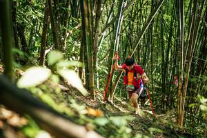 BIB: 
                            <button type="button" onclick="openModal(27924833)" class="btn btn-primary btn-sm float-right btn-popup" data-toggle="modal" data-target=".modal-high-quality">
                        <i class="fas fa-shopping-cart"></i> Add to Cart
                    </button>
                                            <button type="button" onclick="isThisMe(27924833, true)" class="btn btn-success btn-sm float-right btn-popup btn-isme hidden" data-toggle="tooltip" data-placement="bottom" title="นี่คือรูปของคุณใช่ไหม คลิกที่นี่เพื่อเอาเข้าอัลบั้ม">
                        <i class="fas fa-plus"></i> Add to album
                    </button>
                    <button type="button" onclick="isThisMe(27924833, false)" class="btn btn-warning btn-sm float-right btn-popup btn-isnotme hidden">
                        <i class="fas fa-ban"></i> Remove from album
                    </button>