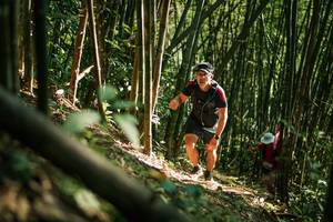 BIB: 
                            <button type="button" onclick="openModal(27922409)" class="btn btn-primary btn-sm float-right btn-popup" data-toggle="modal" data-target=".modal-high-quality">
                        <i class="fas fa-shopping-cart"></i> Add to Cart
                    </button>
                                            <button type="button" onclick="isThisMe(27922409, true)" class="btn btn-success btn-sm float-right btn-popup btn-isme hidden" data-toggle="tooltip" data-placement="bottom" title="นี่คือรูปของคุณใช่ไหม คลิกที่นี่เพื่อเอาเข้าอัลบั้ม">
                        <i class="fas fa-plus"></i> Add to album
                    </button>
                    <button type="button" onclick="isThisMe(27922409, false)" class="btn btn-warning btn-sm float-right btn-popup btn-isnotme hidden">
                        <i class="fas fa-ban"></i> Remove from album
                    </button>