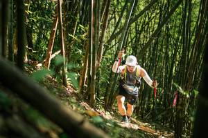 BIB: 
                            <button type="button" onclick="openModal(27922556)" class="btn btn-primary btn-sm float-right btn-popup" data-toggle="modal" data-target=".modal-high-quality">
                        <i class="fas fa-shopping-cart"></i> Add to Cart
                    </button>
                                            <button type="button" onclick="isThisMe(27922556, true)" class="btn btn-success btn-sm float-right btn-popup btn-isme hidden" data-toggle="tooltip" data-placement="bottom" title="นี่คือรูปของคุณใช่ไหม คลิกที่นี่เพื่อเอาเข้าอัลบั้ม">
                        <i class="fas fa-plus"></i> Add to album
                    </button>
                    <button type="button" onclick="isThisMe(27922556, false)" class="btn btn-warning btn-sm float-right btn-popup btn-isnotme hidden">
                        <i class="fas fa-ban"></i> Remove from album
                    </button>