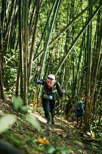 BIB: 
                            <button type="button" onclick="openModal(27923976)" class="btn btn-primary btn-sm float-right btn-popup" data-toggle="modal" data-target=".modal-high-quality">
                        <i class="fas fa-shopping-cart"></i> Add to Cart
                    </button>
                                            <button type="button" onclick="isThisMe(27923976, true)" class="btn btn-success btn-sm float-right btn-popup btn-isme hidden" data-toggle="tooltip" data-placement="bottom" title="นี่คือรูปของคุณใช่ไหม คลิกที่นี่เพื่อเอาเข้าอัลบั้ม">
                        <i class="fas fa-plus"></i> Add to album
                    </button>
                    <button type="button" onclick="isThisMe(27923976, false)" class="btn btn-warning btn-sm float-right btn-popup btn-isnotme hidden">
                        <i class="fas fa-ban"></i> Remove from album
                    </button>