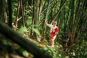 BIB: 
                            <button type="button" onclick="openModal(27923845)" class="btn btn-primary btn-sm float-right btn-popup" data-toggle="modal" data-target=".modal-high-quality">
                        <i class="fas fa-shopping-cart"></i> Add to Cart
                    </button>
                                            <button type="button" onclick="isThisMe(27923845, true)" class="btn btn-success btn-sm float-right btn-popup btn-isme hidden" data-toggle="tooltip" data-placement="bottom" title="นี่คือรูปของคุณใช่ไหม คลิกที่นี่เพื่อเอาเข้าอัลบั้ม">
                        <i class="fas fa-plus"></i> Add to album
                    </button>
                    <button type="button" onclick="isThisMe(27923845, false)" class="btn btn-warning btn-sm float-right btn-popup btn-isnotme hidden">
                        <i class="fas fa-ban"></i> Remove from album
                    </button>