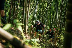 BIB: 
                            <button type="button" onclick="openModal(27925402)" class="btn btn-primary btn-sm float-right btn-popup" data-toggle="modal" data-target=".modal-high-quality">
                        <i class="fas fa-shopping-cart"></i> Add to Cart
                    </button>
                                            <button type="button" onclick="isThisMe(27925402, true)" class="btn btn-success btn-sm float-right btn-popup btn-isme hidden" data-toggle="tooltip" data-placement="bottom" title="นี่คือรูปของคุณใช่ไหม คลิกที่นี่เพื่อเอาเข้าอัลบั้ม">
                        <i class="fas fa-plus"></i> Add to album
                    </button>
                    <button type="button" onclick="isThisMe(27925402, false)" class="btn btn-warning btn-sm float-right btn-popup btn-isnotme hidden">
                        <i class="fas fa-ban"></i> Remove from album
                    </button>