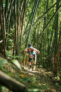 BIB: 
                            <button type="button" onclick="openModal(27923496)" class="btn btn-primary btn-sm float-right btn-popup" data-toggle="modal" data-target=".modal-high-quality">
                        <i class="fas fa-shopping-cart"></i> Add to Cart
                    </button>
                                            <button type="button" onclick="isThisMe(27923496, true)" class="btn btn-success btn-sm float-right btn-popup btn-isme hidden" data-toggle="tooltip" data-placement="bottom" title="นี่คือรูปของคุณใช่ไหม คลิกที่นี่เพื่อเอาเข้าอัลบั้ม">
                        <i class="fas fa-plus"></i> Add to album
                    </button>
                    <button type="button" onclick="isThisMe(27923496, false)" class="btn btn-warning btn-sm float-right btn-popup btn-isnotme hidden">
                        <i class="fas fa-ban"></i> Remove from album
                    </button>