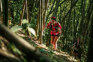 BIB: 
                            <button type="button" onclick="openModal(27922228)" class="btn btn-primary btn-sm float-right btn-popup" data-toggle="modal" data-target=".modal-high-quality">
                        <i class="fas fa-shopping-cart"></i> Add to Cart
                    </button>
                                            <button type="button" onclick="isThisMe(27922228, true)" class="btn btn-success btn-sm float-right btn-popup btn-isme hidden" data-toggle="tooltip" data-placement="bottom" title="นี่คือรูปของคุณใช่ไหม คลิกที่นี่เพื่อเอาเข้าอัลบั้ม">
                        <i class="fas fa-plus"></i> Add to album
                    </button>
                    <button type="button" onclick="isThisMe(27922228, false)" class="btn btn-warning btn-sm float-right btn-popup btn-isnotme hidden">
                        <i class="fas fa-ban"></i> Remove from album
                    </button>