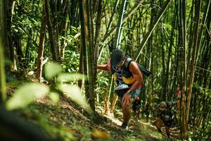 BIB: 
                            <button type="button" onclick="openModal(27924434)" class="btn btn-primary btn-sm float-right btn-popup" data-toggle="modal" data-target=".modal-high-quality">
                        <i class="fas fa-shopping-cart"></i> Add to Cart
                    </button>
                                            <button type="button" onclick="isThisMe(27924434, true)" class="btn btn-success btn-sm float-right btn-popup btn-isme hidden" data-toggle="tooltip" data-placement="bottom" title="นี่คือรูปของคุณใช่ไหม คลิกที่นี่เพื่อเอาเข้าอัลบั้ม">
                        <i class="fas fa-plus"></i> Add to album
                    </button>
                    <button type="button" onclick="isThisMe(27924434, false)" class="btn btn-warning btn-sm float-right btn-popup btn-isnotme hidden">
                        <i class="fas fa-ban"></i> Remove from album
                    </button>