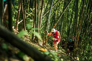 BIB: 
                            <button type="button" onclick="openModal(27923871)" class="btn btn-primary btn-sm float-right btn-popup" data-toggle="modal" data-target=".modal-high-quality">
                        <i class="fas fa-shopping-cart"></i> Add to Cart
                    </button>
                                            <button type="button" onclick="isThisMe(27923871, true)" class="btn btn-success btn-sm float-right btn-popup btn-isme hidden" data-toggle="tooltip" data-placement="bottom" title="นี่คือรูปของคุณใช่ไหม คลิกที่นี่เพื่อเอาเข้าอัลบั้ม">
                        <i class="fas fa-plus"></i> Add to album
                    </button>
                    <button type="button" onclick="isThisMe(27923871, false)" class="btn btn-warning btn-sm float-right btn-popup btn-isnotme hidden">
                        <i class="fas fa-ban"></i> Remove from album
                    </button>