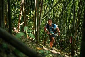 BIB: 
                            <button type="button" onclick="openModal(27922639)" class="btn btn-primary btn-sm float-right btn-popup" data-toggle="modal" data-target=".modal-high-quality">
                        <i class="fas fa-shopping-cart"></i> Add to Cart
                    </button>
                                            <button type="button" onclick="isThisMe(27922639, true)" class="btn btn-success btn-sm float-right btn-popup btn-isme hidden" data-toggle="tooltip" data-placement="bottom" title="นี่คือรูปของคุณใช่ไหม คลิกที่นี่เพื่อเอาเข้าอัลบั้ม">
                        <i class="fas fa-plus"></i> Add to album
                    </button>
                    <button type="button" onclick="isThisMe(27922639, false)" class="btn btn-warning btn-sm float-right btn-popup btn-isnotme hidden">
                        <i class="fas fa-ban"></i> Remove from album
                    </button>