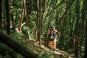 BIB: 
                            <button type="button" onclick="openModal(27922678)" class="btn btn-primary btn-sm float-right btn-popup" data-toggle="modal" data-target=".modal-high-quality">
                        <i class="fas fa-shopping-cart"></i> Add to Cart
                    </button>
                                            <button type="button" onclick="isThisMe(27922678, true)" class="btn btn-success btn-sm float-right btn-popup btn-isme hidden" data-toggle="tooltip" data-placement="bottom" title="นี่คือรูปของคุณใช่ไหม คลิกที่นี่เพื่อเอาเข้าอัลบั้ม">
                        <i class="fas fa-plus"></i> Add to album
                    </button>
                    <button type="button" onclick="isThisMe(27922678, false)" class="btn btn-warning btn-sm float-right btn-popup btn-isnotme hidden">
                        <i class="fas fa-ban"></i> Remove from album
                    </button>