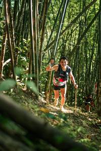 BIB: 
                            <button type="button" onclick="openModal(27923139)" class="btn btn-primary btn-sm float-right btn-popup" data-toggle="modal" data-target=".modal-high-quality">
                        <i class="fas fa-shopping-cart"></i> Add to Cart
                    </button>
                                            <button type="button" onclick="isThisMe(27923139, true)" class="btn btn-success btn-sm float-right btn-popup btn-isme hidden" data-toggle="tooltip" data-placement="bottom" title="นี่คือรูปของคุณใช่ไหม คลิกที่นี่เพื่อเอาเข้าอัลบั้ม">
                        <i class="fas fa-plus"></i> Add to album
                    </button>
                    <button type="button" onclick="isThisMe(27923139, false)" class="btn btn-warning btn-sm float-right btn-popup btn-isnotme hidden">
                        <i class="fas fa-ban"></i> Remove from album
                    </button>