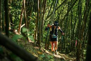 BIB: 
                            <button type="button" onclick="openModal(27922684)" class="btn btn-primary btn-sm float-right btn-popup" data-toggle="modal" data-target=".modal-high-quality">
                        <i class="fas fa-shopping-cart"></i> Add to Cart
                    </button>
                                            <button type="button" onclick="isThisMe(27922684, true)" class="btn btn-success btn-sm float-right btn-popup btn-isme hidden" data-toggle="tooltip" data-placement="bottom" title="นี่คือรูปของคุณใช่ไหม คลิกที่นี่เพื่อเอาเข้าอัลบั้ม">
                        <i class="fas fa-plus"></i> Add to album
                    </button>
                    <button type="button" onclick="isThisMe(27922684, false)" class="btn btn-warning btn-sm float-right btn-popup btn-isnotme hidden">
                        <i class="fas fa-ban"></i> Remove from album
                    </button>