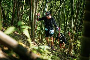 BIB: 
                            <button type="button" onclick="openModal(27925414)" class="btn btn-primary btn-sm float-right btn-popup" data-toggle="modal" data-target=".modal-high-quality">
                        <i class="fas fa-shopping-cart"></i> Add to Cart
                    </button>
                                            <button type="button" onclick="isThisMe(27925414, true)" class="btn btn-success btn-sm float-right btn-popup btn-isme hidden" data-toggle="tooltip" data-placement="bottom" title="นี่คือรูปของคุณใช่ไหม คลิกที่นี่เพื่อเอาเข้าอัลบั้ม">
                        <i class="fas fa-plus"></i> Add to album
                    </button>
                    <button type="button" onclick="isThisMe(27925414, false)" class="btn btn-warning btn-sm float-right btn-popup btn-isnotme hidden">
                        <i class="fas fa-ban"></i> Remove from album
                    </button>