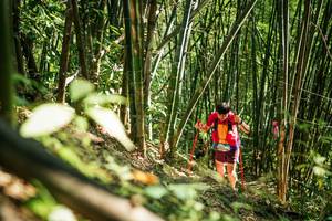 BIB: 
                            <button type="button" onclick="openModal(27924830)" class="btn btn-primary btn-sm float-right btn-popup" data-toggle="modal" data-target=".modal-high-quality">
                        <i class="fas fa-shopping-cart"></i> Add to Cart
                    </button>
                                            <button type="button" onclick="isThisMe(27924830, true)" class="btn btn-success btn-sm float-right btn-popup btn-isme hidden" data-toggle="tooltip" data-placement="bottom" title="นี่คือรูปของคุณใช่ไหม คลิกที่นี่เพื่อเอาเข้าอัลบั้ม">
                        <i class="fas fa-plus"></i> Add to album
                    </button>
                    <button type="button" onclick="isThisMe(27924830, false)" class="btn btn-warning btn-sm float-right btn-popup btn-isnotme hidden">
                        <i class="fas fa-ban"></i> Remove from album
                    </button>