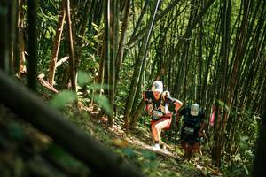 BIB: 
                            <button type="button" onclick="openModal(27922831)" class="btn btn-primary btn-sm float-right btn-popup" data-toggle="modal" data-target=".modal-high-quality">
                        <i class="fas fa-shopping-cart"></i> Add to Cart
                    </button>
                                            <button type="button" onclick="isThisMe(27922831, true)" class="btn btn-success btn-sm float-right btn-popup btn-isme hidden" data-toggle="tooltip" data-placement="bottom" title="นี่คือรูปของคุณใช่ไหม คลิกที่นี่เพื่อเอาเข้าอัลบั้ม">
                        <i class="fas fa-plus"></i> Add to album
                    </button>
                    <button type="button" onclick="isThisMe(27922831, false)" class="btn btn-warning btn-sm float-right btn-popup btn-isnotme hidden">
                        <i class="fas fa-ban"></i> Remove from album
                    </button>