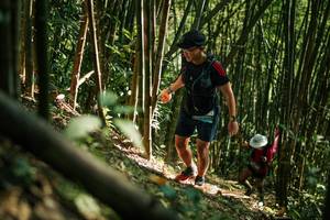 BIB: 
                            <button type="button" onclick="openModal(27922419)" class="btn btn-primary btn-sm float-right btn-popup" data-toggle="modal" data-target=".modal-high-quality">
                        <i class="fas fa-shopping-cart"></i> Add to Cart
                    </button>
                                            <button type="button" onclick="isThisMe(27922419, true)" class="btn btn-success btn-sm float-right btn-popup btn-isme hidden" data-toggle="tooltip" data-placement="bottom" title="นี่คือรูปของคุณใช่ไหม คลิกที่นี่เพื่อเอาเข้าอัลบั้ม">
                        <i class="fas fa-plus"></i> Add to album
                    </button>
                    <button type="button" onclick="isThisMe(27922419, false)" class="btn btn-warning btn-sm float-right btn-popup btn-isnotme hidden">
                        <i class="fas fa-ban"></i> Remove from album
                    </button>