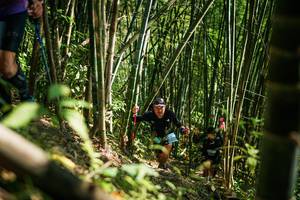 BIB: 
                            <button type="button" onclick="openModal(27925401)" class="btn btn-primary btn-sm float-right btn-popup" data-toggle="modal" data-target=".modal-high-quality">
                        <i class="fas fa-shopping-cart"></i> Add to Cart
                    </button>
                                            <button type="button" onclick="isThisMe(27925401, true)" class="btn btn-success btn-sm float-right btn-popup btn-isme hidden" data-toggle="tooltip" data-placement="bottom" title="นี่คือรูปของคุณใช่ไหม คลิกที่นี่เพื่อเอาเข้าอัลบั้ม">
                        <i class="fas fa-plus"></i> Add to album
                    </button>
                    <button type="button" onclick="isThisMe(27925401, false)" class="btn btn-warning btn-sm float-right btn-popup btn-isnotme hidden">
                        <i class="fas fa-ban"></i> Remove from album
                    </button>