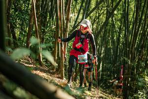 BIB: 
                            <button type="button" onclick="openModal(27921752)" class="btn btn-primary btn-sm float-right btn-popup" data-toggle="modal" data-target=".modal-high-quality">
                        <i class="fas fa-shopping-cart"></i> Add to Cart
                    </button>
                                            <button type="button" onclick="isThisMe(27921752, true)" class="btn btn-success btn-sm float-right btn-popup btn-isme hidden" data-toggle="tooltip" data-placement="bottom" title="นี่คือรูปของคุณใช่ไหม คลิกที่นี่เพื่อเอาเข้าอัลบั้ม">
                        <i class="fas fa-plus"></i> Add to album
                    </button>
                    <button type="button" onclick="isThisMe(27921752, false)" class="btn btn-warning btn-sm float-right btn-popup btn-isnotme hidden">
                        <i class="fas fa-ban"></i> Remove from album
                    </button>