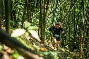 BIB: 
                            <button type="button" onclick="openModal(27924804)" class="btn btn-primary btn-sm float-right btn-popup" data-toggle="modal" data-target=".modal-high-quality">
                        <i class="fas fa-shopping-cart"></i> Add to Cart
                    </button>
                                            <button type="button" onclick="isThisMe(27924804, true)" class="btn btn-success btn-sm float-right btn-popup btn-isme hidden" data-toggle="tooltip" data-placement="bottom" title="นี่คือรูปของคุณใช่ไหม คลิกที่นี่เพื่อเอาเข้าอัลบั้ม">
                        <i class="fas fa-plus"></i> Add to album
                    </button>
                    <button type="button" onclick="isThisMe(27924804, false)" class="btn btn-warning btn-sm float-right btn-popup btn-isnotme hidden">
                        <i class="fas fa-ban"></i> Remove from album
                    </button>