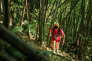 BIB: 
                            <button type="button" onclick="openModal(27922887)" class="btn btn-primary btn-sm float-right btn-popup" data-toggle="modal" data-target=".modal-high-quality">
                        <i class="fas fa-shopping-cart"></i> Add to Cart
                    </button>
                                            <button type="button" onclick="isThisMe(27922887, true)" class="btn btn-success btn-sm float-right btn-popup btn-isme hidden" data-toggle="tooltip" data-placement="bottom" title="นี่คือรูปของคุณใช่ไหม คลิกที่นี่เพื่อเอาเข้าอัลบั้ม">
                        <i class="fas fa-plus"></i> Add to album
                    </button>
                    <button type="button" onclick="isThisMe(27922887, false)" class="btn btn-warning btn-sm float-right btn-popup btn-isnotme hidden">
                        <i class="fas fa-ban"></i> Remove from album
                    </button>