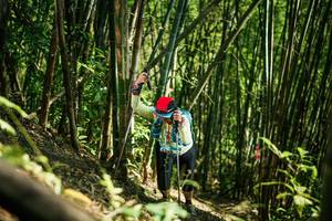 BIB: 
                            <button type="button" onclick="openModal(27925995)" class="btn btn-primary btn-sm float-right btn-popup" data-toggle="modal" data-target=".modal-high-quality">
                        <i class="fas fa-shopping-cart"></i> Add to Cart
                    </button>
                                            <button type="button" onclick="isThisMe(27925995, true)" class="btn btn-success btn-sm float-right btn-popup btn-isme hidden" data-toggle="tooltip" data-placement="bottom" title="นี่คือรูปของคุณใช่ไหม คลิกที่นี่เพื่อเอาเข้าอัลบั้ม">
                        <i class="fas fa-plus"></i> Add to album
                    </button>
                    <button type="button" onclick="isThisMe(27925995, false)" class="btn btn-warning btn-sm float-right btn-popup btn-isnotme hidden">
                        <i class="fas fa-ban"></i> Remove from album
                    </button>