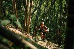 BIB: 
                            <button type="button" onclick="openModal(27921792)" class="btn btn-primary btn-sm float-right btn-popup" data-toggle="modal" data-target=".modal-high-quality">
                        <i class="fas fa-shopping-cart"></i> Add to Cart
                    </button>
                                            <button type="button" onclick="isThisMe(27921792, true)" class="btn btn-success btn-sm float-right btn-popup btn-isme hidden" data-toggle="tooltip" data-placement="bottom" title="นี่คือรูปของคุณใช่ไหม คลิกที่นี่เพื่อเอาเข้าอัลบั้ม">
                        <i class="fas fa-plus"></i> Add to album
                    </button>
                    <button type="button" onclick="isThisMe(27921792, false)" class="btn btn-warning btn-sm float-right btn-popup btn-isnotme hidden">
                        <i class="fas fa-ban"></i> Remove from album
                    </button>