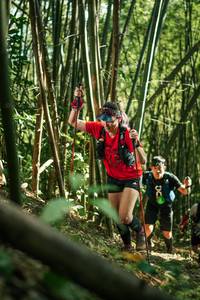 BIB: 
                            <button type="button" onclick="openModal(27923040)" class="btn btn-primary btn-sm float-right btn-popup" data-toggle="modal" data-target=".modal-high-quality">
                        <i class="fas fa-shopping-cart"></i> Add to Cart
                    </button>
                                            <button type="button" onclick="isThisMe(27923040, true)" class="btn btn-success btn-sm float-right btn-popup btn-isme hidden" data-toggle="tooltip" data-placement="bottom" title="นี่คือรูปของคุณใช่ไหม คลิกที่นี่เพื่อเอาเข้าอัลบั้ม">
                        <i class="fas fa-plus"></i> Add to album
                    </button>
                    <button type="button" onclick="isThisMe(27923040, false)" class="btn btn-warning btn-sm float-right btn-popup btn-isnotme hidden">
                        <i class="fas fa-ban"></i> Remove from album
                    </button>