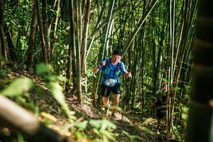 BIB: 
                            <button type="button" onclick="openModal(27925488)" class="btn btn-primary btn-sm float-right btn-popup" data-toggle="modal" data-target=".modal-high-quality">
                        <i class="fas fa-shopping-cart"></i> Add to Cart
                    </button>
                                            <button type="button" onclick="isThisMe(27925488, true)" class="btn btn-success btn-sm float-right btn-popup btn-isme hidden" data-toggle="tooltip" data-placement="bottom" title="นี่คือรูปของคุณใช่ไหม คลิกที่นี่เพื่อเอาเข้าอัลบั้ม">
                        <i class="fas fa-plus"></i> Add to album
                    </button>
                    <button type="button" onclick="isThisMe(27925488, false)" class="btn btn-warning btn-sm float-right btn-popup btn-isnotme hidden">
                        <i class="fas fa-ban"></i> Remove from album
                    </button>