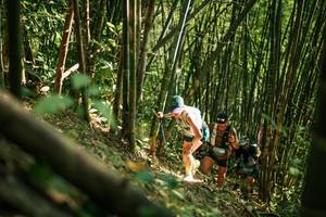 BIB: 
                            <button type="button" onclick="openModal(27923171)" class="btn btn-primary btn-sm float-right btn-popup" data-toggle="modal" data-target=".modal-high-quality">
                        <i class="fas fa-shopping-cart"></i> Add to Cart
                    </button>
                                            <button type="button" onclick="isThisMe(27923171, true)" class="btn btn-success btn-sm float-right btn-popup btn-isme hidden" data-toggle="tooltip" data-placement="bottom" title="นี่คือรูปของคุณใช่ไหม คลิกที่นี่เพื่อเอาเข้าอัลบั้ม">
                        <i class="fas fa-plus"></i> Add to album
                    </button>
                    <button type="button" onclick="isThisMe(27923171, false)" class="btn btn-warning btn-sm float-right btn-popup btn-isnotme hidden">
                        <i class="fas fa-ban"></i> Remove from album
                    </button>