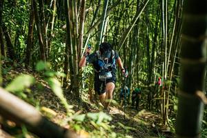 BIB: 
                            <button type="button" onclick="openModal(27925511)" class="btn btn-primary btn-sm float-right btn-popup" data-toggle="modal" data-target=".modal-high-quality">
                        <i class="fas fa-shopping-cart"></i> Add to Cart
                    </button>
                                            <button type="button" onclick="isThisMe(27925511, true)" class="btn btn-success btn-sm float-right btn-popup btn-isme hidden" data-toggle="tooltip" data-placement="bottom" title="นี่คือรูปของคุณใช่ไหม คลิกที่นี่เพื่อเอาเข้าอัลบั้ม">
                        <i class="fas fa-plus"></i> Add to album
                    </button>
                    <button type="button" onclick="isThisMe(27925511, false)" class="btn btn-warning btn-sm float-right btn-popup btn-isnotme hidden">
                        <i class="fas fa-ban"></i> Remove from album
                    </button>