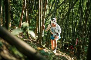 BIB: 
                            <button type="button" onclick="openModal(27922258)" class="btn btn-primary btn-sm float-right btn-popup" data-toggle="modal" data-target=".modal-high-quality">
                        <i class="fas fa-shopping-cart"></i> Add to Cart
                    </button>
                                            <button type="button" onclick="isThisMe(27922258, true)" class="btn btn-success btn-sm float-right btn-popup btn-isme hidden" data-toggle="tooltip" data-placement="bottom" title="นี่คือรูปของคุณใช่ไหม คลิกที่นี่เพื่อเอาเข้าอัลบั้ม">
                        <i class="fas fa-plus"></i> Add to album
                    </button>
                    <button type="button" onclick="isThisMe(27922258, false)" class="btn btn-warning btn-sm float-right btn-popup btn-isnotme hidden">
                        <i class="fas fa-ban"></i> Remove from album
                    </button>